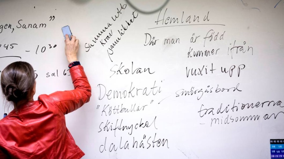 Alla som har fått chanser att lära sig svenska under lång tid kan inte förvänta sig avgiftsfri språktolk i vården; det anser Sverigedemokraterna i bland annat region Östergötland.