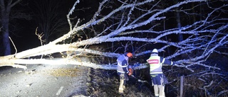 SMHI går ut med varning: Starka vindar väntas i Östergötland  