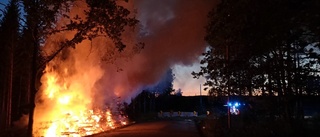 Rishög brann i flera timmar