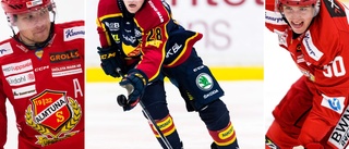 Efter skadorna – plockar in SHL-forward: "Hård spelare med attityd"