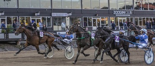 Skelleftehästar lottades till drömlägen i V75-lopp