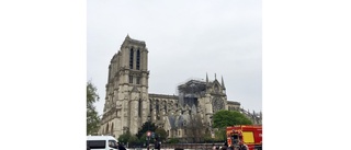 Chock och bestörtning i Paris