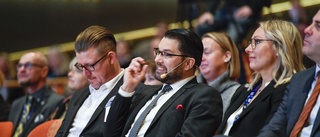 Åkesson omvald som SD-ledare