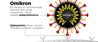 Första fallet av omikron bekräftat i Sverige • FHM: "Vi har en ökad bevakning"