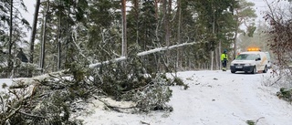 Fortfarande strömlösa hushåll på Gotland