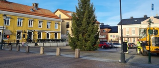 Granen står så grön och grann på torget