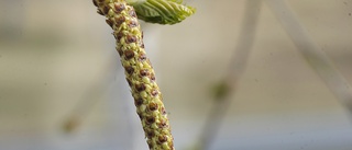 Stor satsning på natur och friluftsliv i Västerbotten