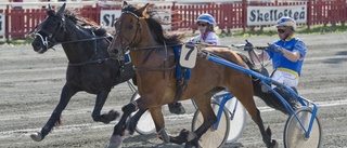 Felaktigt resultat på Skelleftetravet