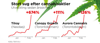 Tusentals svenskar med på cannabis-rallyt