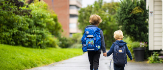 Vad gör ni för att uppfylla målen i skolan?