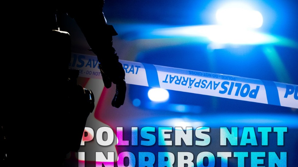 Här är ett urval av polisens natt.