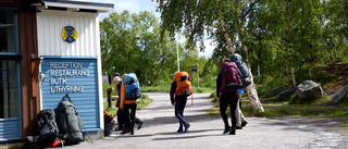 Lättillgänglig fjällvandring i Abisko nationalpark