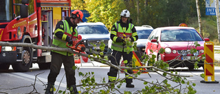 Träd har fallit på E4 i höjd med Nyköping