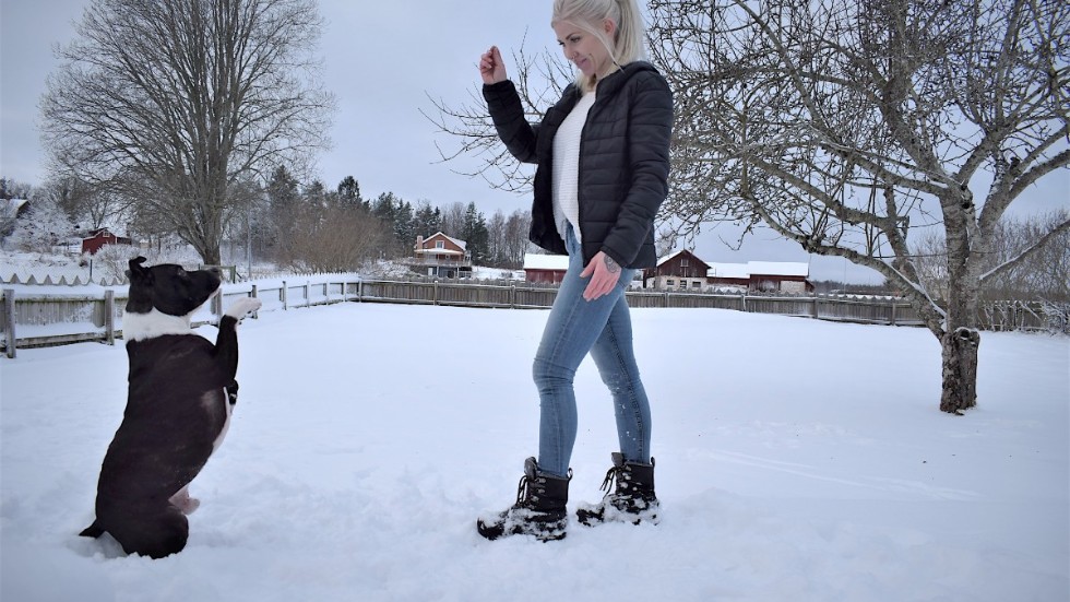 Hundpsykologen, hundbeteendevetaren och instruktören Sacie Svenssons verksamhet kommer bland annat erbjuda pensionat, dagis, butik och kloklippning till våra fyrbenta vänner. 