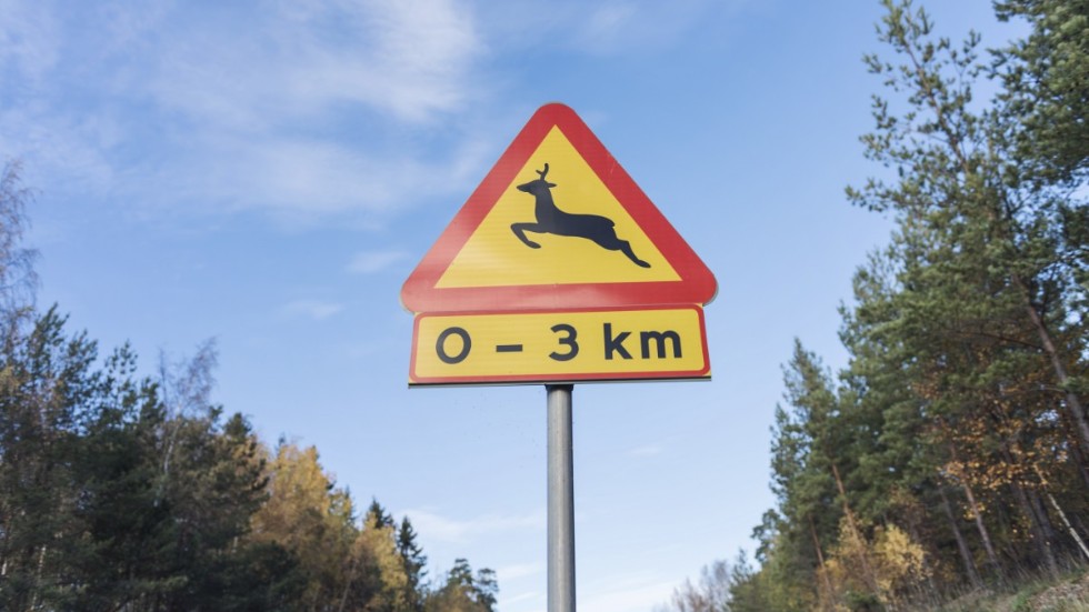 En varningsskylt för rådjur som känns extra aktuell i dessa tider. Mellan klockan 03.20 och 07.50 under måndagen inträffade inte mindre än 15 viltolyckor i Sörmland. I elva av fallen blev rådjur påkörda.