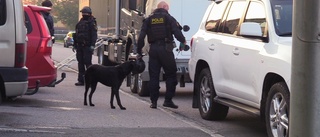 TV: Bombhundar söker av platsen