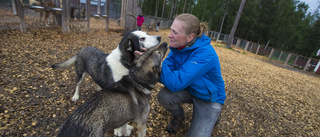 Deras blinda alaskan husky har också en plats i flocken