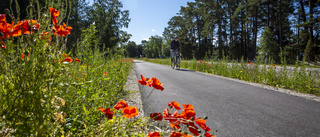 SMHI: Nu är det sommar på (nästan) hela Gotland