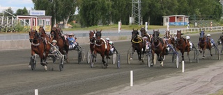 Hemmahästar imponerade på Bodentravet