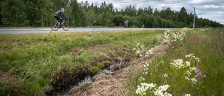 Trafikverket: "Måste utnyttja maskinparken till fullo"