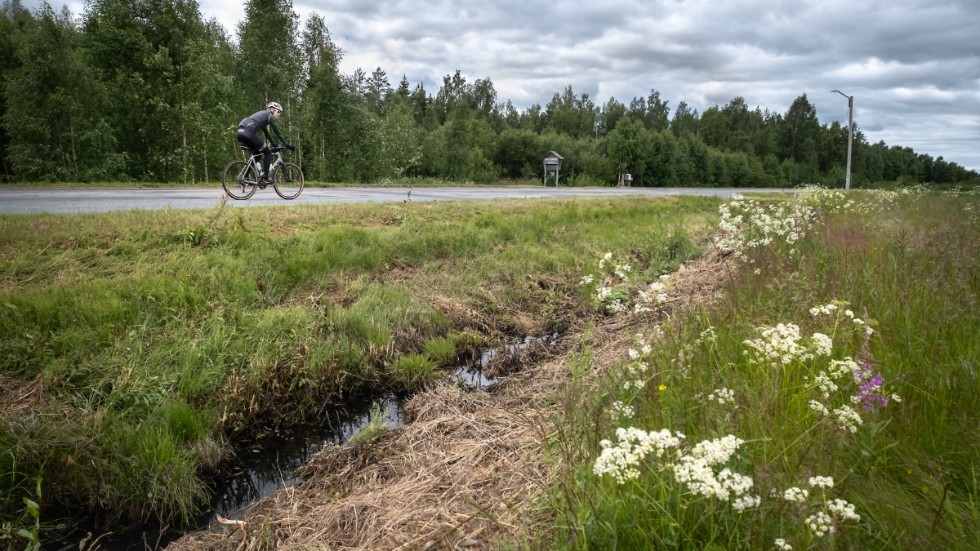 Trafikverket svarar på varför man klipper gräset i dikesresningarna under fåglarnas häckningsperiod.