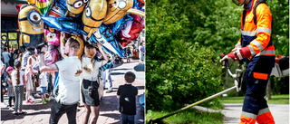 Tonåringar i KFV har chans att bli sommarlovsföretagare