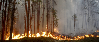 Större brandrisk här än i övriga länet