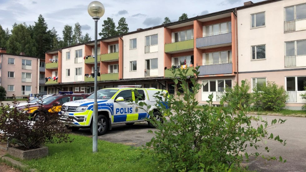 Polis, räddningstjänst och Älvsbyns kommun gjorde en inspektion av fastigheterna under måndagseftermiddagen.