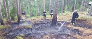 Grillning bakom brand vid sjö