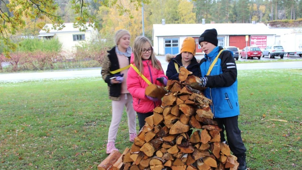 Agnes Ringdahl, Rumma; Molly Wallerius, Gamleby; Adrian Brånäng, Lofta, och Kevin Nilsson, Björnsholm, bygger en pyramid av vedträn.