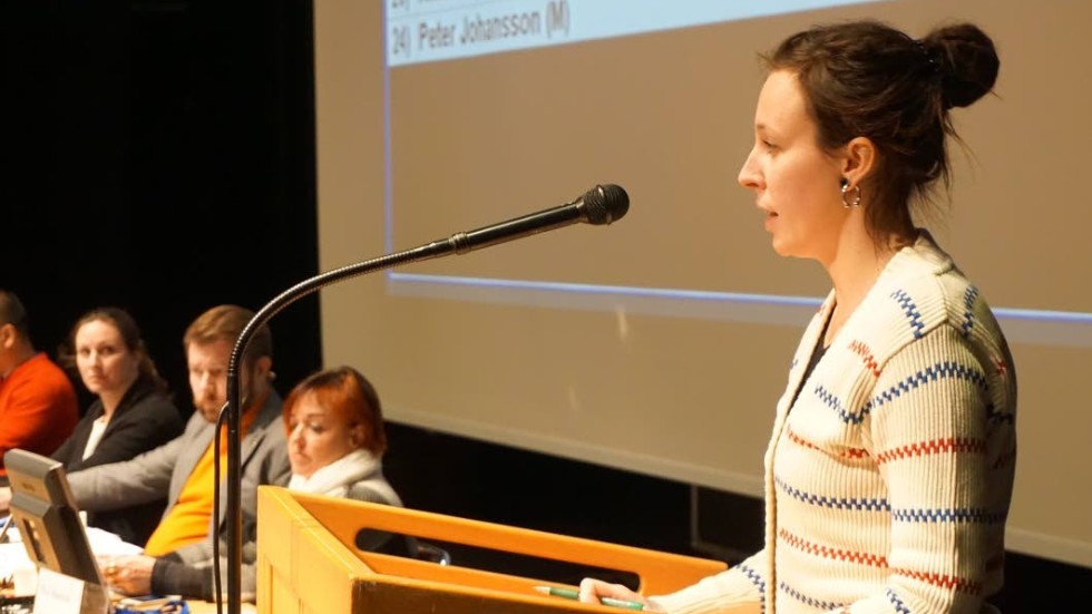 Ilsknade till. En kommentar från Sverigedemokraterna fick miljöpartisten Anna Bodjo att tända till vid måndagens kommunfullmäktige.