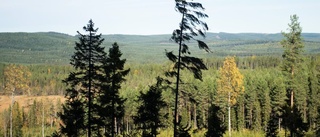 Dyster framtid för naturreservaten