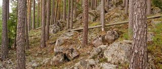 Nytt naturreservat lockar till friluftsliv