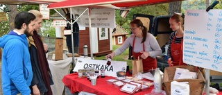 Stort utbud på skördemarknad