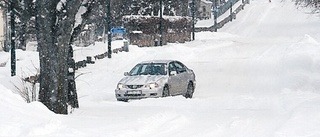 Vinter - men ingen snöjour