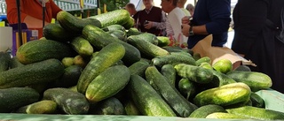 Full fart på Marken