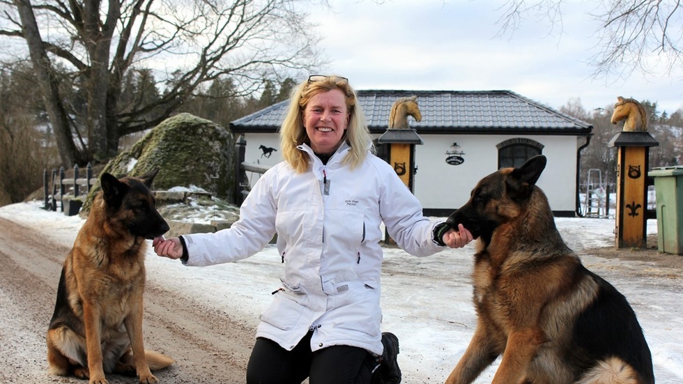 Lena Gedminas tränar sina schäfrar Jazz och Kanto enligt IPO, där det ingår kombinationer av spår, lydnad och skyddsarbete. Men hennes hundar fungerar även som terapihundar i det familjehem hon driver. Foto: Lena Dahlberg