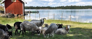 Turen går till Fångö