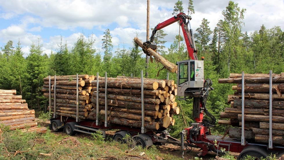 Att lära upp en chaufför att hantera timmerbil med kran långt inne i skogen tar tid. Arbetet måste göras både effektivt och säkert. Det 24 meter långa ekipaget väger cirka 64 ton när det är fullastat.