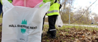 Positiva signaler om nedskräpningen: "Bedrövligt förra året" • Därför ansökte inte Västervik om någon "skräppeng" i år