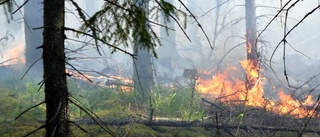 SMHI: Stor risk för skogsbrand i länet