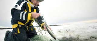 Iskallt uppdrag att hålla fisketradition vid liv