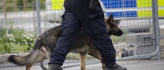 Hund spårade misstänkt tjuv