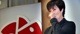 "Mona Sahlin har gjort ett bra jobb"