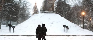 En frusen gr i stadsparken