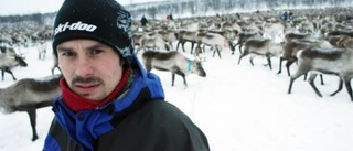 En ovanlig vinter för renskötseln