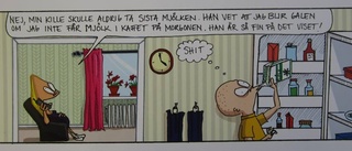 Roliga och träffsäkra serieteckningar