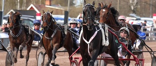 Mantorpshästar gör upp i klassiker