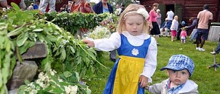 Publikrekord på Hembygdsområdet