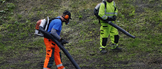 Buller och bång eller fågelsång?